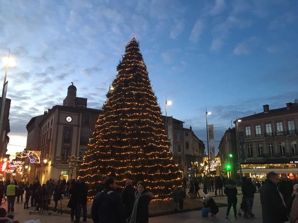 La mise en place du sapin du Vigan lance le décompte vers Noël