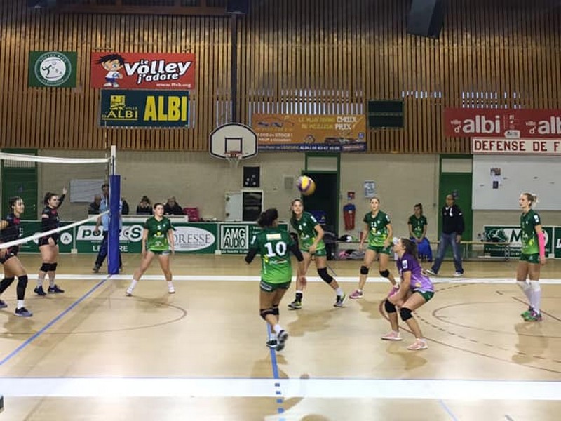 L'élite du volley à Albi