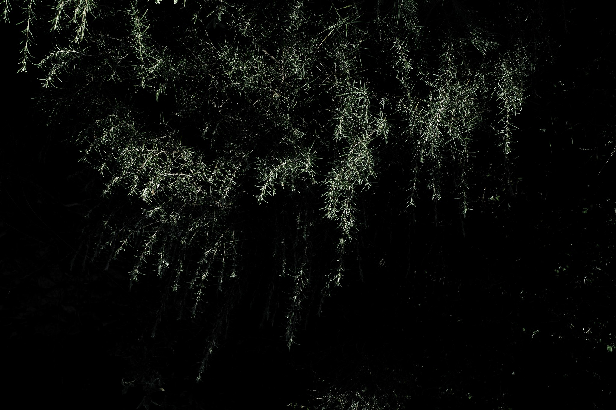 Balade photographique : Mystérieux paysages