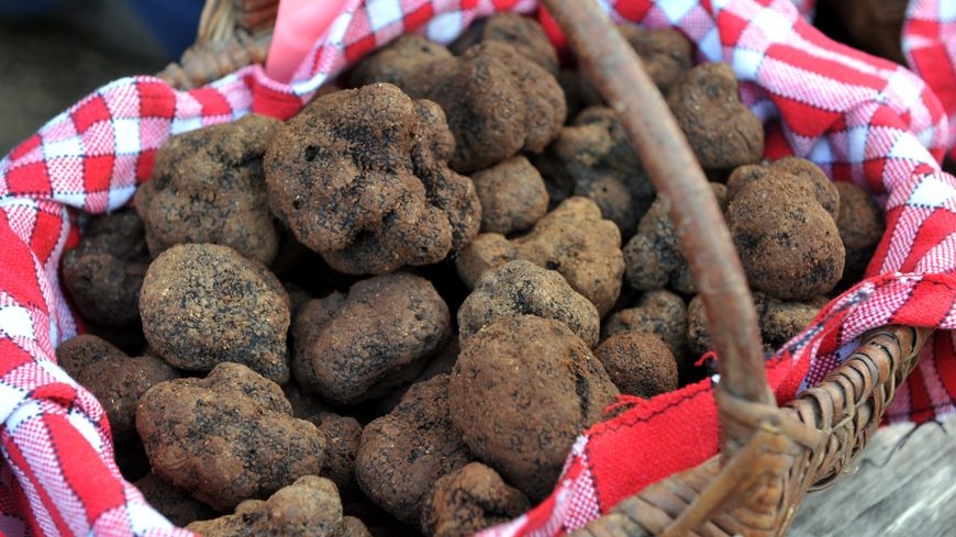 Marché aux truffes