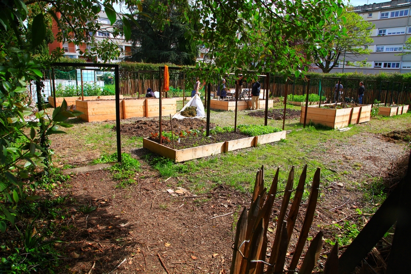 Les potagers solidaires : c'est tendance !