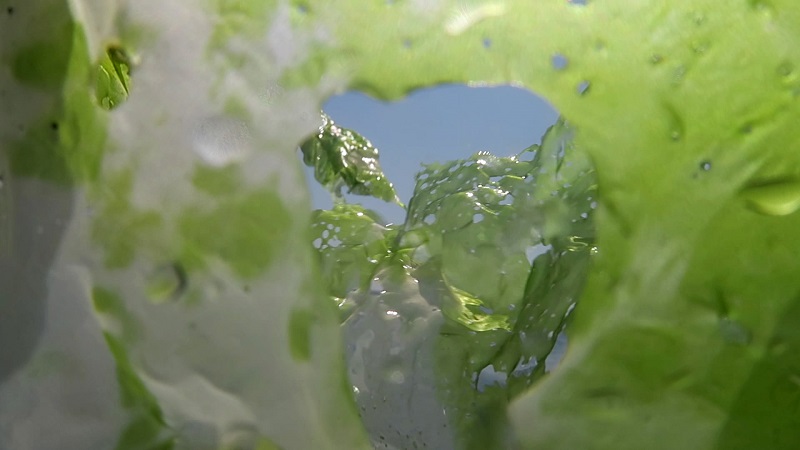 Expo "Des sirènes au fond des prunelles" Centre d'art le Lait