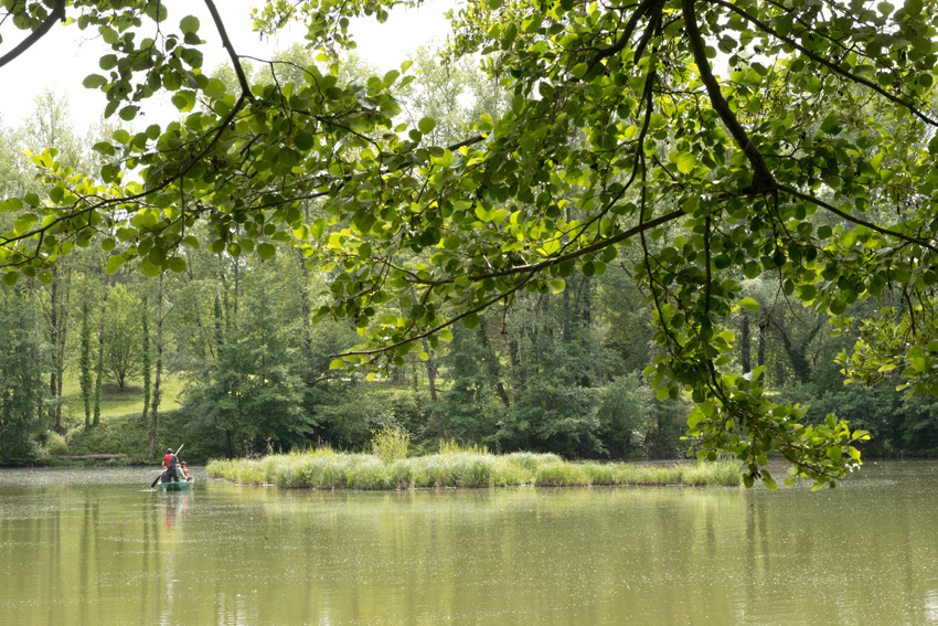 Le radeau végétatif sur la base de loisirs de Pratgraussals permet à la biodiversité de s'épanouir à Pratgraussals.