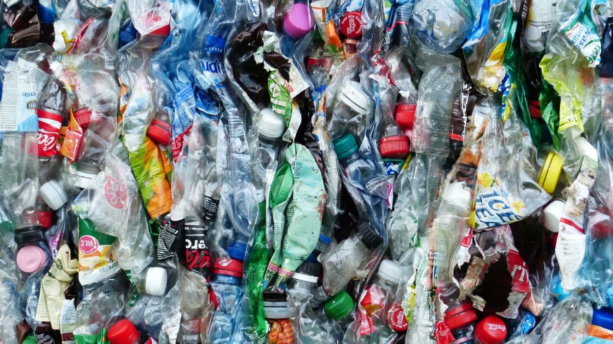 Journée ramassage des déchets