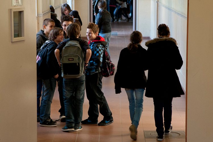 Les collèges d’Albi