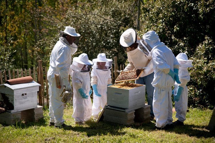 Le développement durable