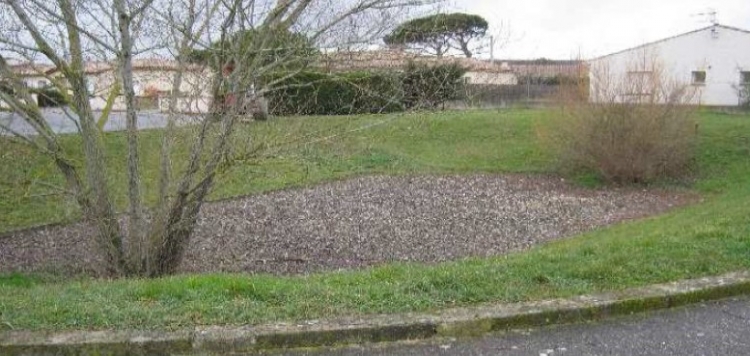 Bassins d’infiltration