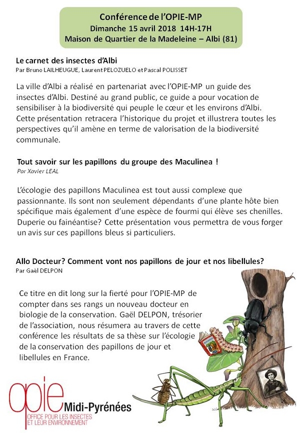 Programme conférences Insectes
