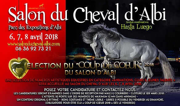 Salon du cheval 2018