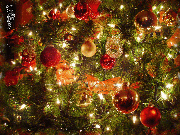 Guirlandes de sapin