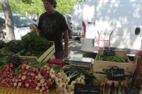 Venez vous régaler avec les bons produits de producteurs locaux ! 