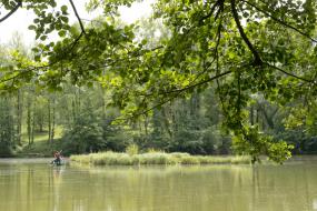Le radeau végétatif sur la base de loisirs de Pratgraussals permet à la biodiversité de s'épanouir à Pratgraussals.