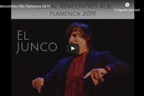 flamenca 2019
