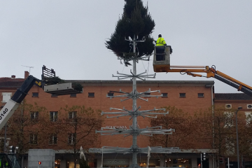 Le sapin de Noël géant s'installe  sur le Vigan. Les 133 petits sapins qui le composent trouvent leur place doucement.  