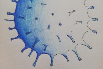 Témoignage de Sandrine Kergourlay