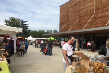 Foire au miel 2019