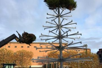 La place du Vigan retrouve son arbre aux belles ramures vertes et qu'est ce qu'on l'aime .... ce sapin là ! – fête Noël.