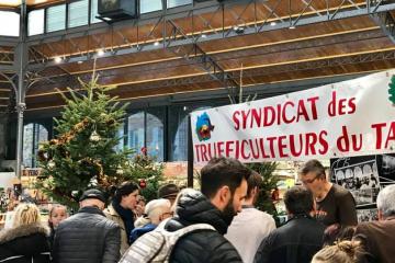 Beau succès du marché aux truffes ce matin au Marché couvert d'Albi.....!