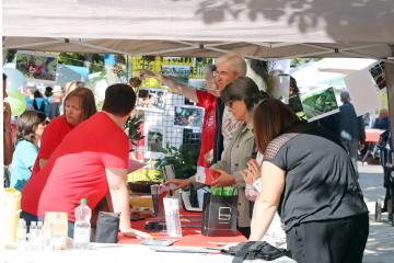 Fête des associations 2019