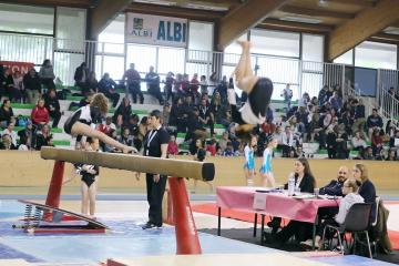 Gymnastique Salto