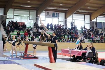Gymnastique Salto