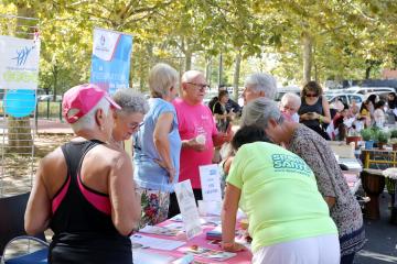 Journées portes ouvertes Cantepau