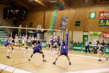 Coupe d'europe de volley ball France Allemagne