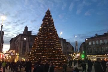 La mise en place du sapin du Vigan lance le décompte vers Noël