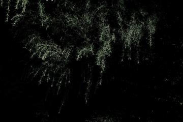 Balade photographique : Mystérieux paysages