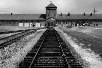 l'impact des visites d'Auschwitz chez les lycéens