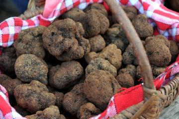 Marché aux truffes