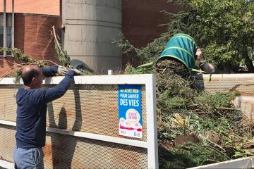 Mise en place d'une collecte de déchets verts à Albi