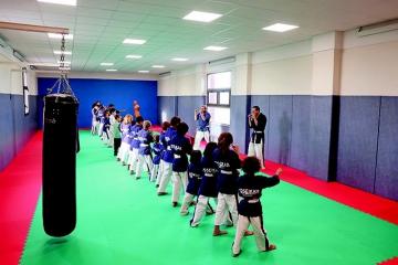 Le Dojo albigeois fête ses 40 ans