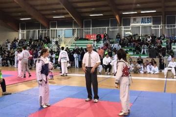 18ème Open international d'Albi de Taekwondo