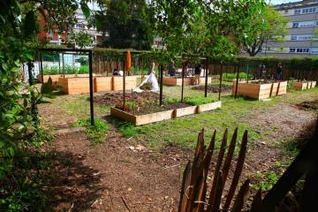 Les potagers solidaires : c'est tendance !