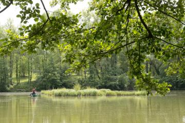 Le radeau végétatif sur la base de loisirs de Pratgraussals permet à la biodiversité de s'épanouir à Pratgraussals.