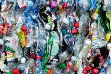 Journée ramassage des déchets