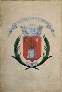 Aquarelle des armoiries de la ville d'Albi © D.R